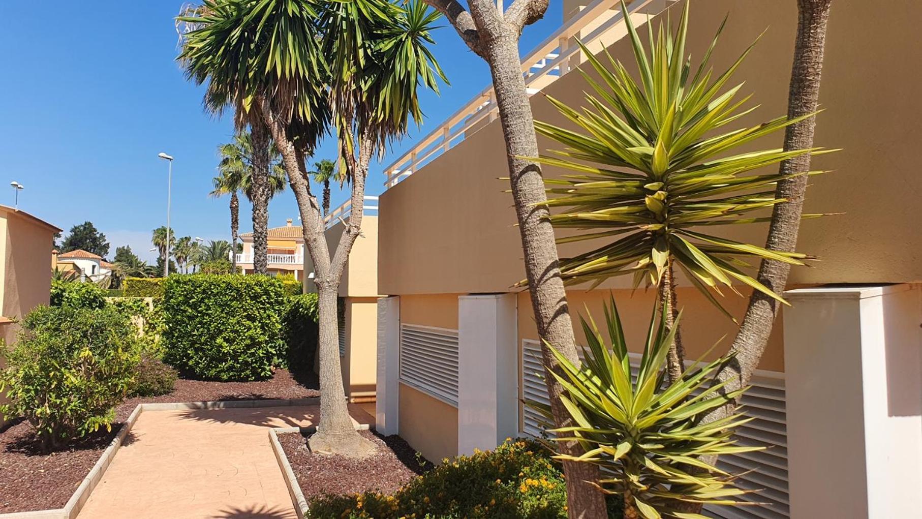 Apartamentos Par Tres - Oliva Nova Esterno foto